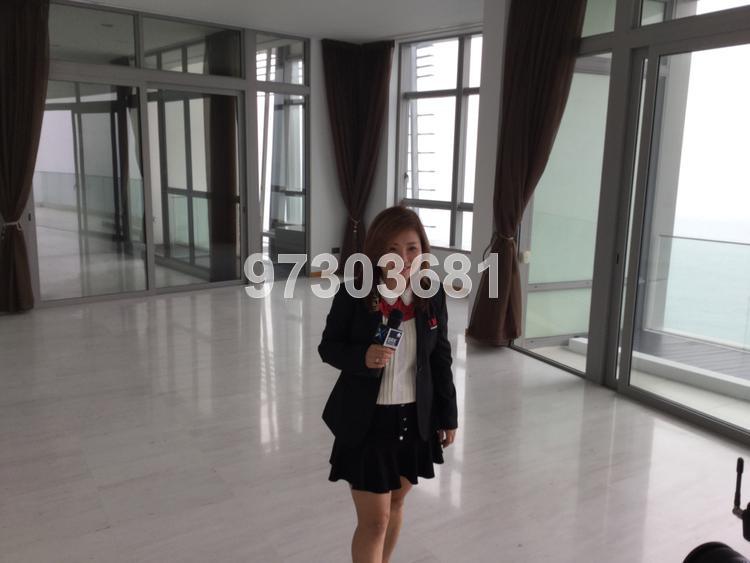 The Oceanfront @ Sentosa Cove (D4), Condominium #92542772